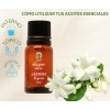 Oleum Vitae Aceite Esencial De Jazmín 100% Puro Y Orgánico