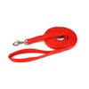 Horse Lunge Line/Large Dog Training Walking Lead Leash 25mm Padded