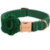 ARING PET Velvet Dog Collar, Cute Christmas Dog Collar with