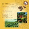 24 Organic Days Instant Coffee Organic Fair Trade 100g