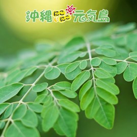 Moringa Genki Tea 100% Okinawa Prefecture (Caffeine-free), 30 Packets x 2 Bags, Domestically Produced in Okinawa Prefecture, Moringa Tea