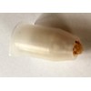 Eating Protection for Nicot Breeding System for Queen Bees, Pack