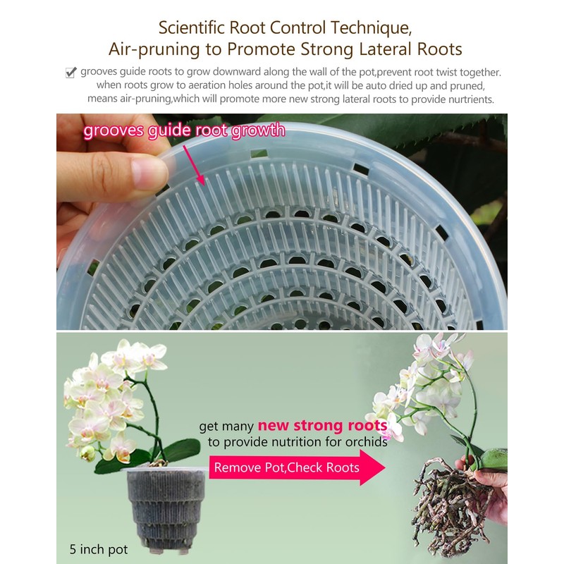 Meshpot 6 inch Orchid Pots with Holes for Repotting with