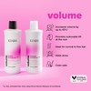 Kenra Professional Volume Shampoo & Conditioner Set | Creates Body,