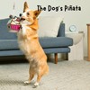 Dog Piñata - Dog Treat Dispenser Toy. Treat Dispensing Interactive