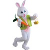 Men’s Easter Bunny Costume with Vest & Carrot