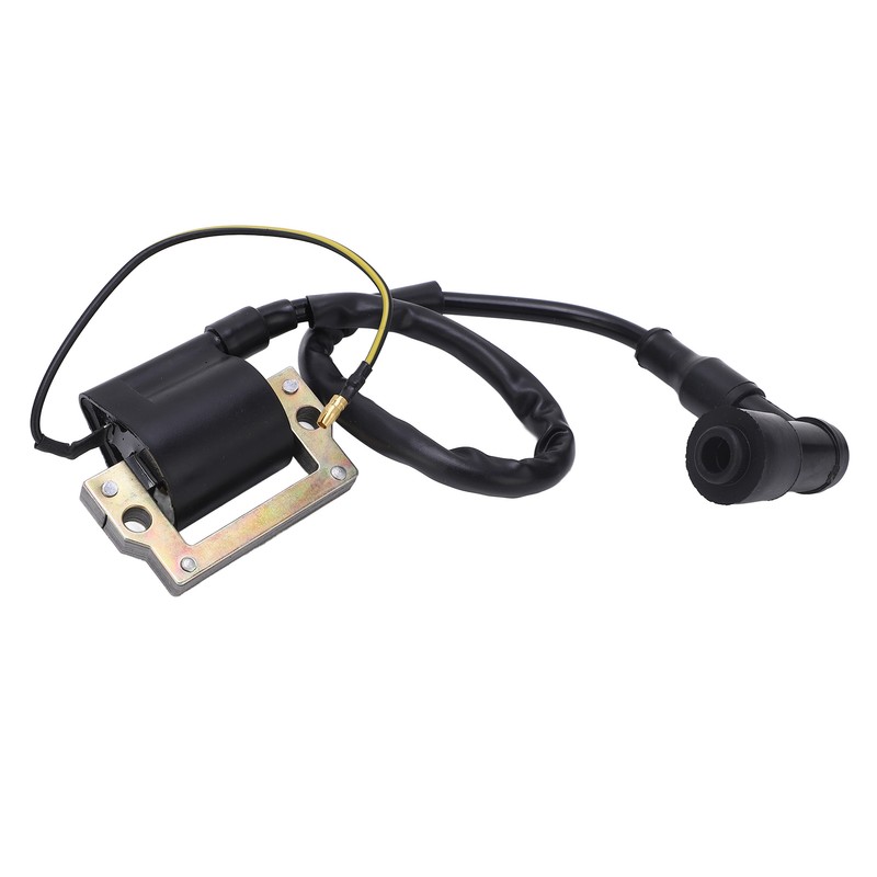 1 Pair Ignition Coil Low Emissions and Fuel Consumption Heat
