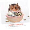 COLLBATH Ceramic Pet Bowl for Guinea Pig Hamster Rabbit Pet