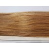 GLAVIS Extensions: Platinum Remy Hair P67cm About 100g: 406