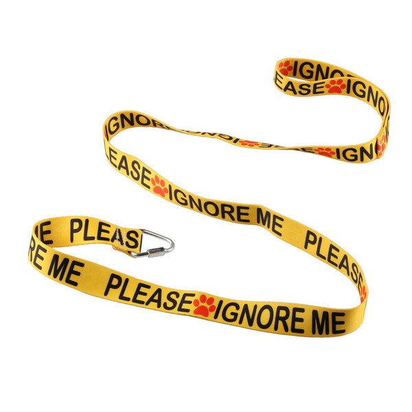 Funny Dog Leash Please Ignore Me Dog Leash Walking Training
