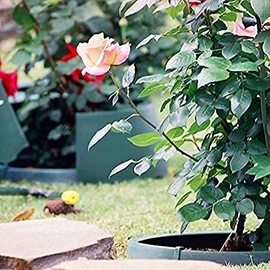 Wayside Gardens Greenwell Water Saver, X-Large