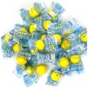 SweetGourmet Original LemonHead Candy Wrapped Bulk | 1 Pound