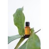 doTERRA - Petitgrain Essential Oil - 15 mL