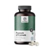 HealthyWorld Pygeum - African Plum Extract (Pygeum Africanum) - 100mg