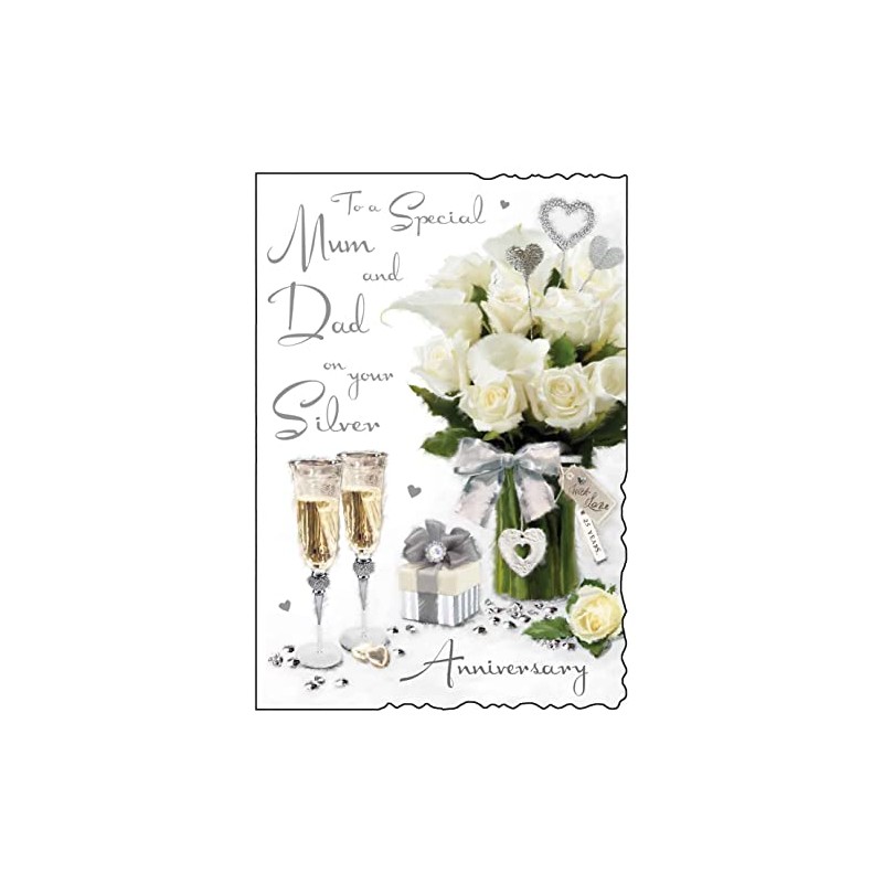 Jonny Javelin Special Mum and Dad On Your Silver Anniversary