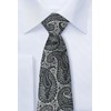 RETREEZ Paisley Art Microfiber Woven Men's Tie Necktie - Many