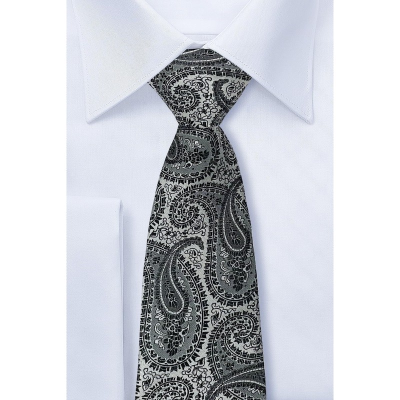 RETREEZ Paisley Art Microfiber Woven Men's Tie Necktie - Many
