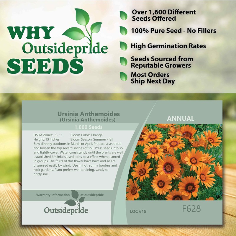 Outsidepride 1000 Seeds Annual Ursinia Anthemoides Flower Seeds for Planting