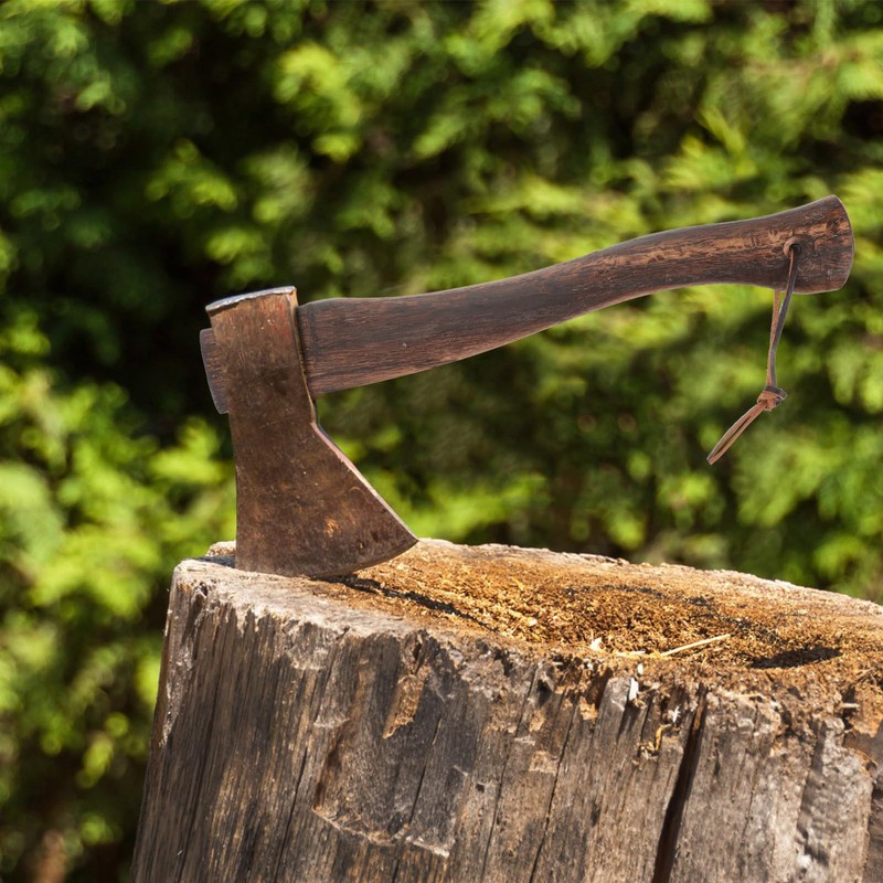 Angoily U11WS00F46HRX2MD Wooden Axe Handle for Replacement for Wooden Handle