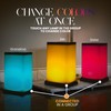 Friendship Lamp® by Filimin Modern - Best Friend Lamps Wi-Fi