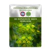 Bupleurum Seeds Pack - Beautiful Garden Flowers Seeds