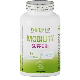 Glucosamine + Chondroitin High Dose + Vegan - Mobility Support with MSM, Hyaluronic Acid, Zinc, Vitamin C - Brand Raw Materials Glucosagreen + Phytodroitin - 120 Capsules