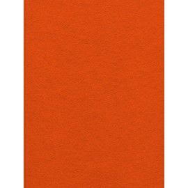 12-Piece Kunin Eco-fi Friendlyfelt-Stiffened, 9-Inch by 12-Inch, Orange