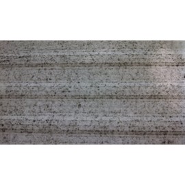 JJV'S BEST Scum Remover (Quart)