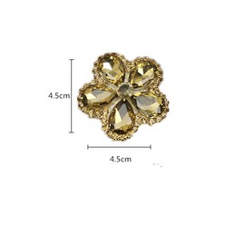 Douqu Rhinestone Crystal Shoe Clips Charm Decoration Clips for Shoes Metal Shoes Clip Accessories 1 Pair (Champagne)