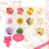 Princess-style Nail Parts, Small, Resin Parts, Enclosed Parts, Blue, Pink,