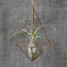 TOVINANNA Holder Pendant Decoracines Paras Salas De Casa Outdoor Wedding Pot Hanger Outdoor Pendant