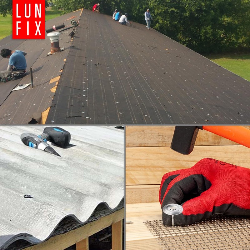 Lun Fix Roofing Nails with Washer 3.0 x 30 mm