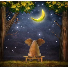 Uatiodo Diamond Painting Kits for Adults, Diamond Painting Kits, DIY 5D Diamond Art Paintings, Paint with Diamonds, Home Wall Décor (Elephant with Moon)