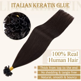 MY-LADY U Tip Hair Extensions Human Hair Dark Brown 16 Inch 50G 50Strands K Tip Keratin Bond Hair Extensions Fusion Utip Ktip Pre Bonded Hair Extensions Real Remy Hair