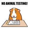 CafePress No Animal Testing! Oval Sticker Oval Car Bumper Sticker