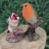 Vivid Arts - British Birds Life Like Robin & Goldfinch