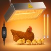 Chicken Coop Heater for Winter, Heat Lamp for Chickens 400W,