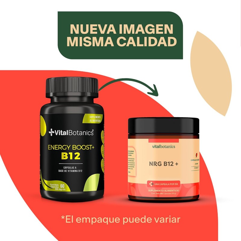 Vitamina B12 + Jengibre. Con 60 capsulas de 500mg (2