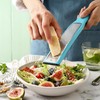Spring Chef Premium Lemon Zester Grater with Handle - Fruits,