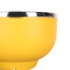 450ML Pet Heated Bowl Stainless Steel Water Heating Bowl USB