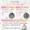[指定医薬部外品] ピュアサポート 整腸消化錠 [乳酸菌 糖化菌 配合 整腸剤] [腸活 腸内フローラ改善] 便秘