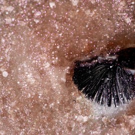 Miss Nella Magic Collection Abracadabra Peel-Off Nail Polish Specially for Kids, Pink Glitter, Peel-Off Formula, Non-Toxic, Water-Based and Odourless