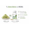 Alfalfa N2000 500 mg, 90 Cápsulas, Concentrado de Alfalfa Liofilizada
