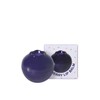 Pretty Skin Blueberry Lip Balm 9g / 프리티스킨 블루베리 립밤
