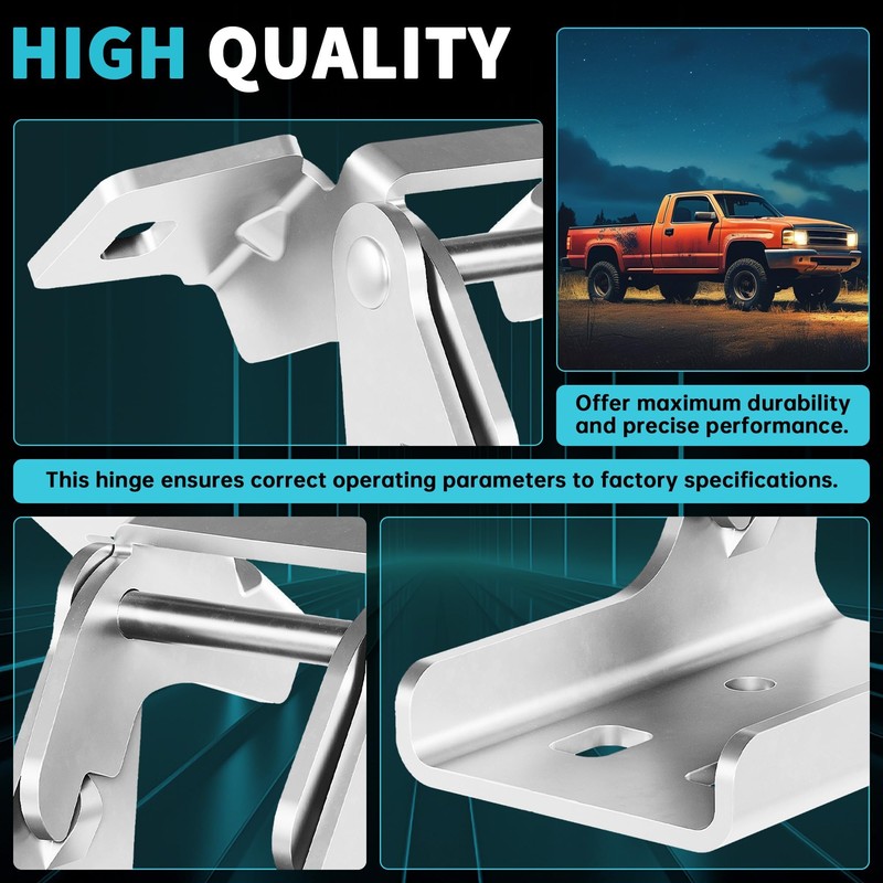 ECOTRIC Front Lower Door Hinge Assembly Compatible with 1996-2002 Dodge