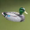 Cifavor Realistic Plastic Mallard Duck Decoy, Floating Hunting Decoy for
