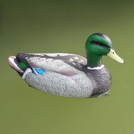 Cifavor Realistic Plastic Mallard Duck Decoy, Floating Hunting Decoy for Garden Pond Decoration
