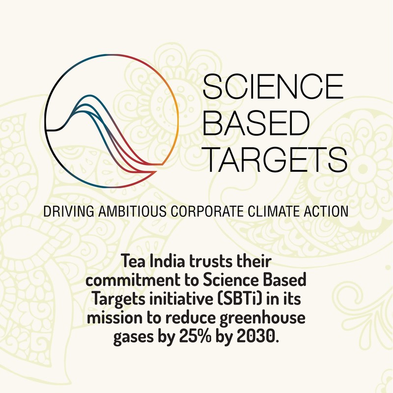 Tea India Chai Moments Ginger Chai Tea Instant Latte Mix