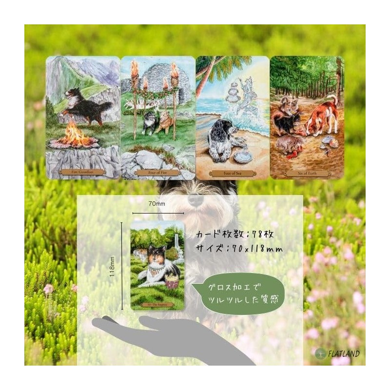 Magical Dogs Tarot [Special Box] [With Tarot Divination Manual]