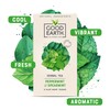Good Earth Tea Co. Peppermint & Spearmint Tea Bags –